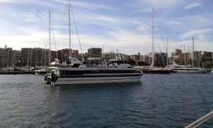 Mallorca Cat