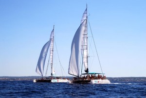 Katamaran Ausflug Bucht von Palma
