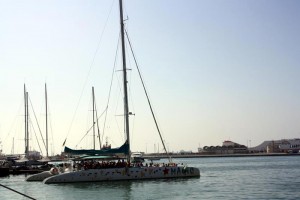 Katamaran Ausflug Bucht von Palma