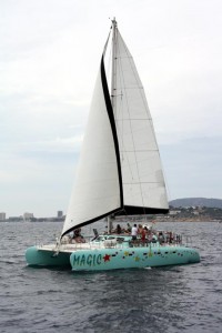 Katamaran Magic Freebird