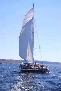Katamaran Magic unter Segeln