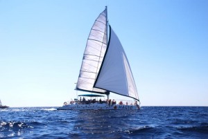 Katamaran unter Segeln
