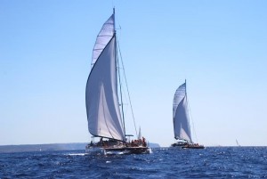 Katamaran Regatta