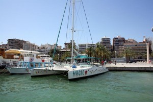 Katamaran im Hafen Palma