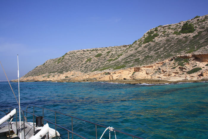 Katamaran Mallorca News