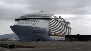 Symphnony oft he Seas Hafen Palma de Mallorca