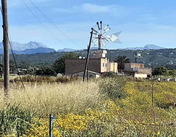 Windmühle Mallorca
