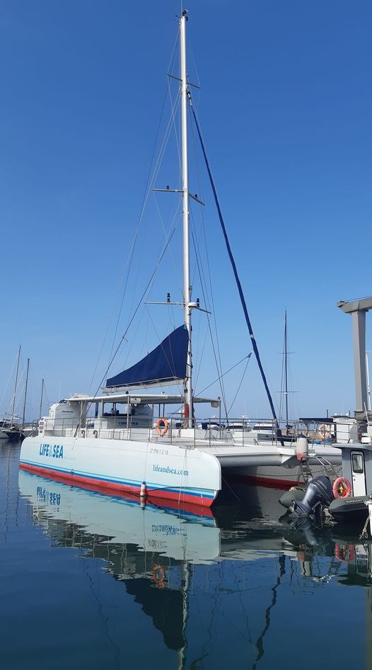 Katamaran fuer grosse Gruppen Mallorca