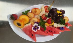Obstteller_1_Katamaran