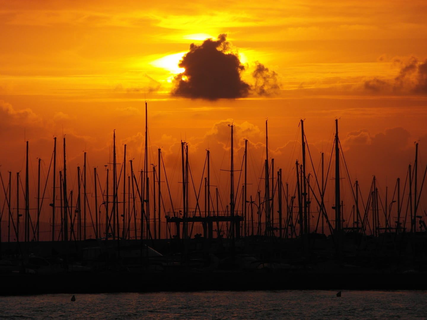 Hafen Palma de Mallorca