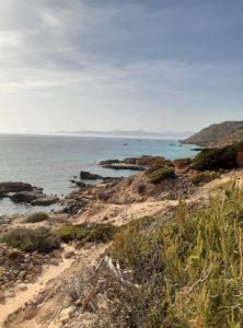 Katamaran Mallorca