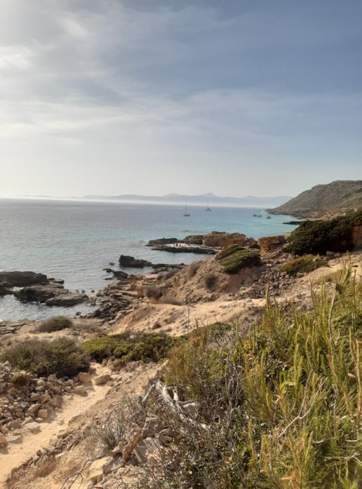Katamaran Mallorca