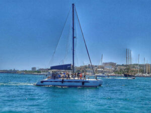 Katamaran Freebird Palma de Mallorca