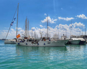 Falcao Uno Hafen Palma