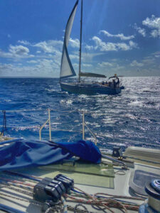 Segelregatta in der Bucht von Palma