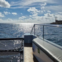 Katamaran im November