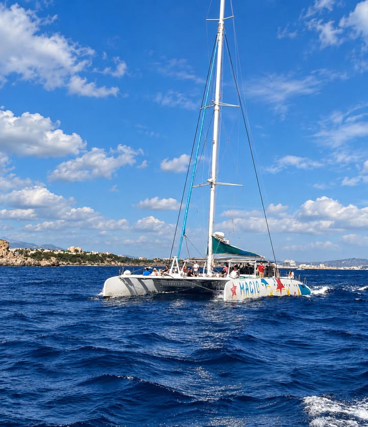 ☀️ Auch Ende Oktober begeistert eine Katamaran-Tour in der Bucht von Palma! Türkisblaues Meer, strahlender…